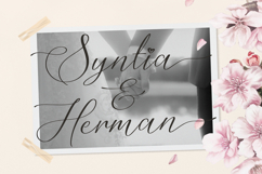 Mielssai | Beauty Chic Font Product Image 2