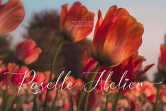 Mielssai | Beauty Chic Font Product Image 4