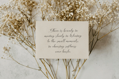 Mielssai | Beauty Chic Font Product Image 5