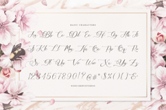 Mielssai | Beauty Chic Font Product Image 10