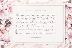 Mielssai | Beauty Chic Font Product Image 12