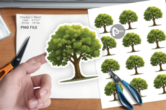 Mighty Oak Sticker Product Image 1