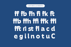 Mighty Swifta - Modern Sans Serif Font Product Image 13
