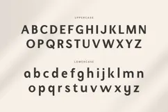 Migrate - Modern Professional Logo Font Product Image 11