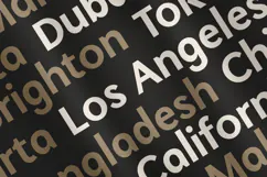 Migrate - Modern Professional Logo Font Product Image 10