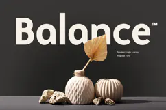 Migrate - Modern Professional Logo Font Product Image 8