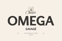 Migrate - Modern Professional Logo Font Product Image 9