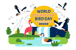 10 World Migratory Bird Day Illustration Product Image 1