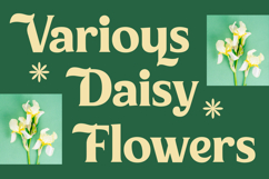 Milan Wulko - Alternate Bold Serif Font Product Image 3