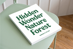 Milan Wulko - Alternate Bold Serif Font Product Image 4