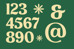 Milan Wulko - Alternate Bold Serif Font Product Image 9