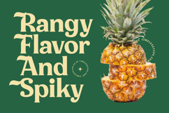 Milan Wulko - Alternate Bold Serif Font Product Image 13