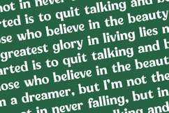 Milan Wulko - Alternate Bold Serif Font Product Image 17