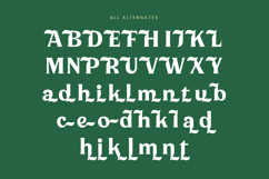 Milan Wulko - Alternate Bold Serif Font Product Image 18
