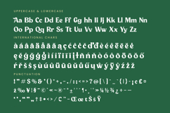 Milan Wulko - Alternate Bold Serif Font Product Image 19