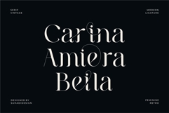 Milea Neira - Beauty Ligature Font Product Image 7