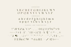 Milea - Serif Vintage Font Product Image 11