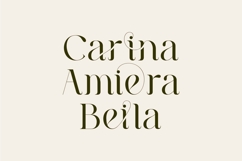 Milea - Serif Vintage Font Product Image 7