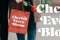 Milkstic Batter - Modern Alternate Serif Font Product Image 14