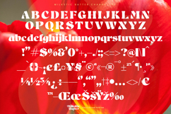 Milkstic Batter - Modern Alternate Serif Font Product Image 18