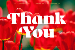 Milkstic Batter - Modern Alternate Serif Font Product Image 20