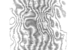 Moire background. Rippled surface. Vector halftone texture Product Image 1