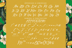 Mindful Angelic - Modern Elegant Handwritten Product Image 18