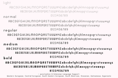 Mindspeak Sans Family Product Image 10