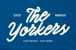 Mingers Monoline Script Font Product Image 3