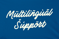 Mingers Monoline Script Font Product Image 5