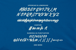 Mingers Monoline Script Font Product Image 6