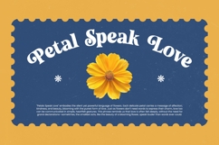 Mingle Heaven - Groovy Serif Display Font Product Image 13