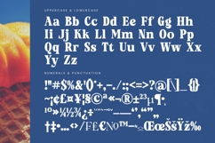 Mingle Heaven - Groovy Serif Display Font Product Image 18