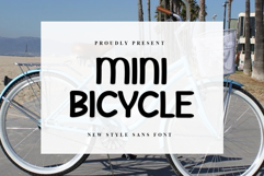 Mini Bicycle Product Image 1