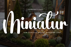 Miniatur Product Image 1