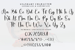 Minigirl Product Image 5