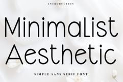 Minimalist Aesthetic Product Image 1