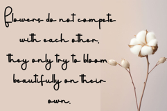 Minister Product Image 3