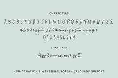 Minnowbrook Script Font Product Image 10