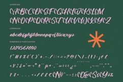 Mintac Bold Handwritten Font Product Image 13