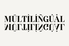 Mirabelle - Elegant Ligature Product Image 12