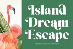 Mirage Tropic - Modern Serif Font Product Image 3