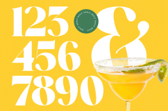 Mirage Tropic - Modern Serif Font Product Image 15