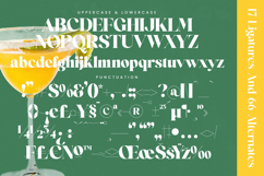 Mirage Tropic - Modern Serif Font Product Image 18