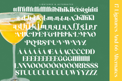 Mirage Tropic - Modern Serif Font Product Image 19