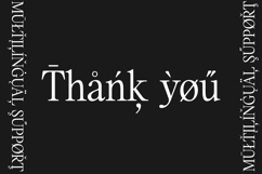 Mirety - A Nostalgic Editorial Serif Family Product Image 13