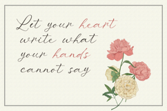 Mirevielle Elegant Branding Script Product Image 4