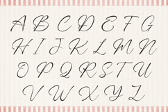 Mirevielle Elegant Branding Script Product Image 8