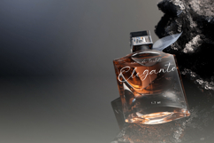 Mirevielle Elegant Branding Script Product Image 11