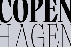 Miroje -Variable Typeface Product Image 13